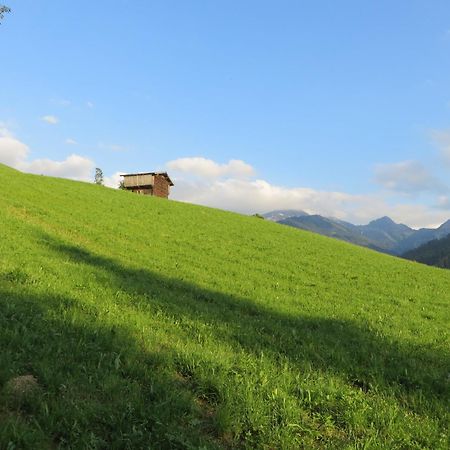 Pension Muehlbachhof อัลพ์บาค ภายนอก รูปภาพ